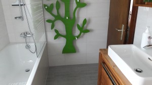salle de bains